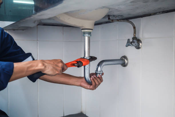 Best Affordable Plumbing Services  in Tomah, WI